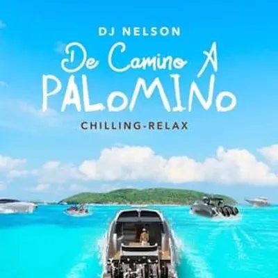 De Camino A Palomino, Vol. 1
