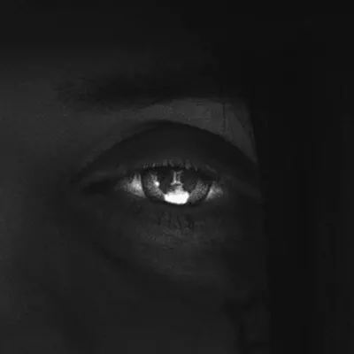Близнецы: Eros