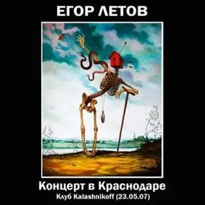 Концерт в Краснодаре (CAK)