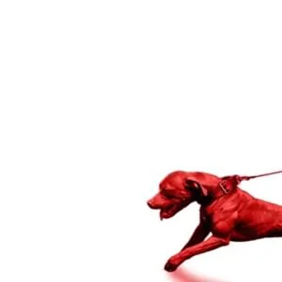 A Hit Dog Gon Holla (Instrumentals)
