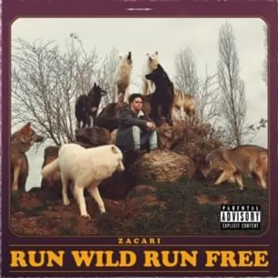 Run Wild Run Free