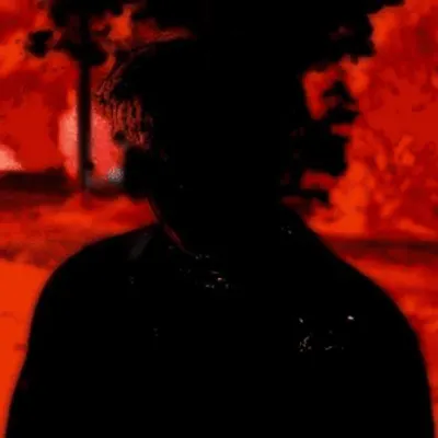 IWANT2DIEWITHOUTDYING