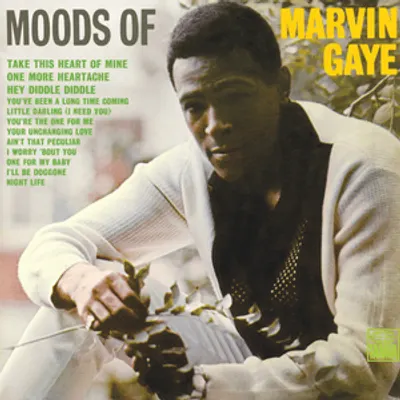 Moods of Marvin Gaye