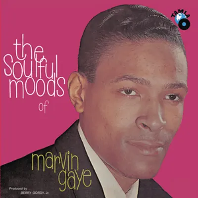 The Soulful Moods of Marvin Gaye