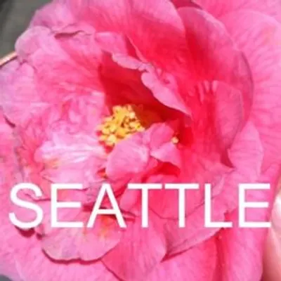 SEATTLE