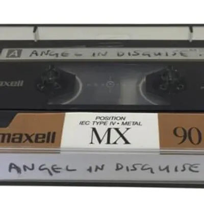 Angel In Disguise