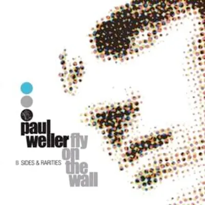 Fly on the Wall: B-sides & Rarities 1991-2001