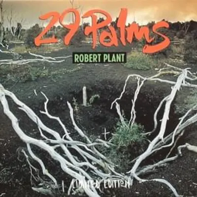 29 Palms