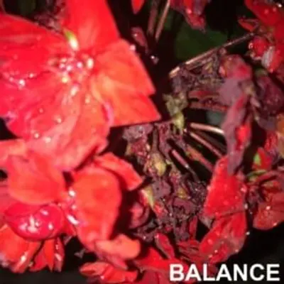 Balance