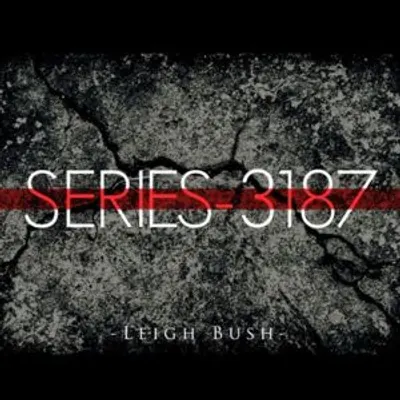 Series - 3187
