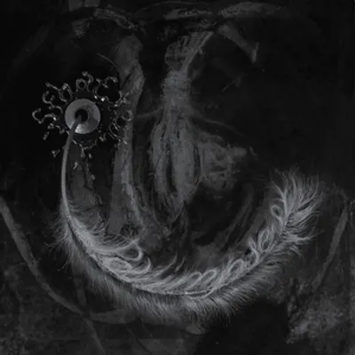 palimpsest (Physical Version)