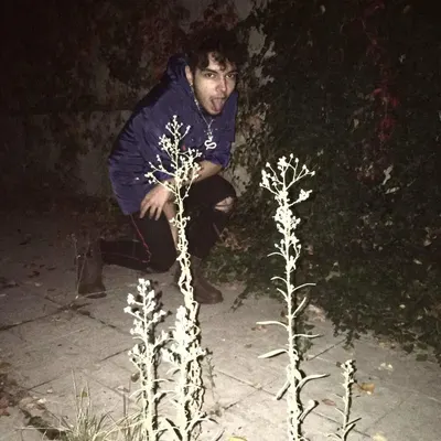HERKES SAVAŞ İSTİYOR