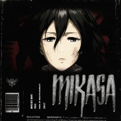 Mikasa