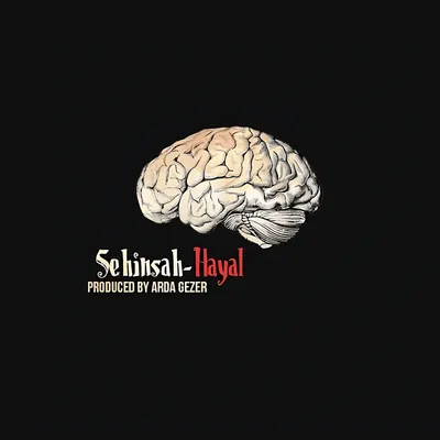 Hayal