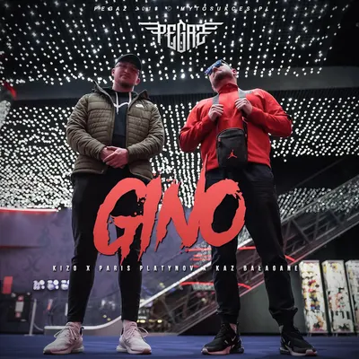 Mr. Gino