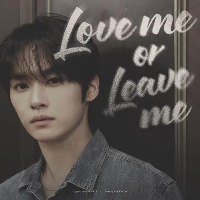 Love me or Leave me (Cover)
