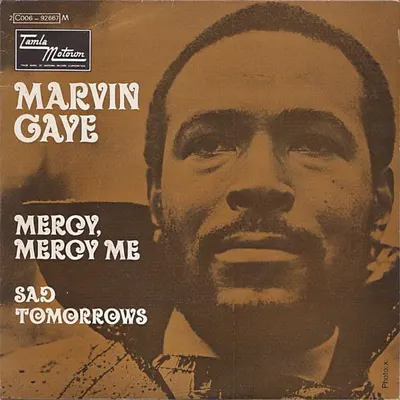 Mercy Mercy Me (The Ecology)