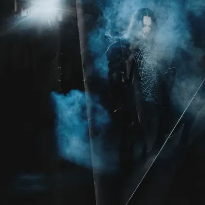 Смерть устала ждать (Death Is Tired of Waiting)