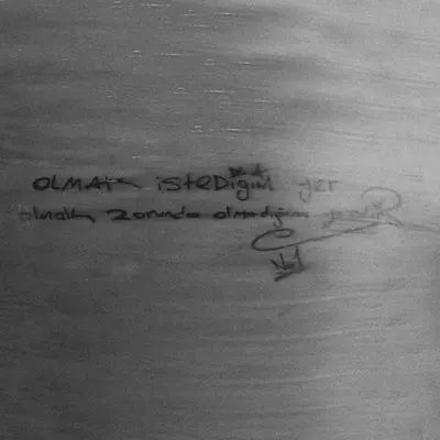 Çiçeklerde Bir Telaş Var