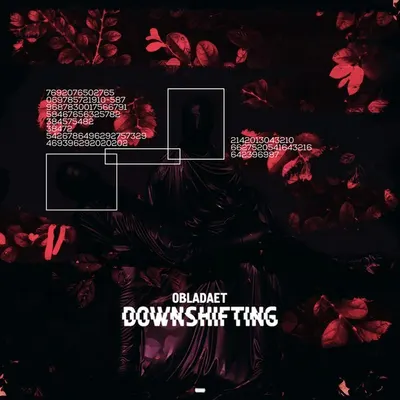 DOWNSHIFTING