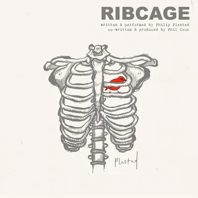 Ribcage