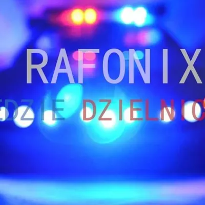 Jedzie Dzielnicowy