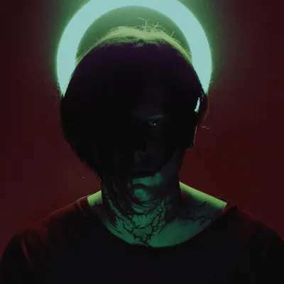 В мясо (Into meat)
